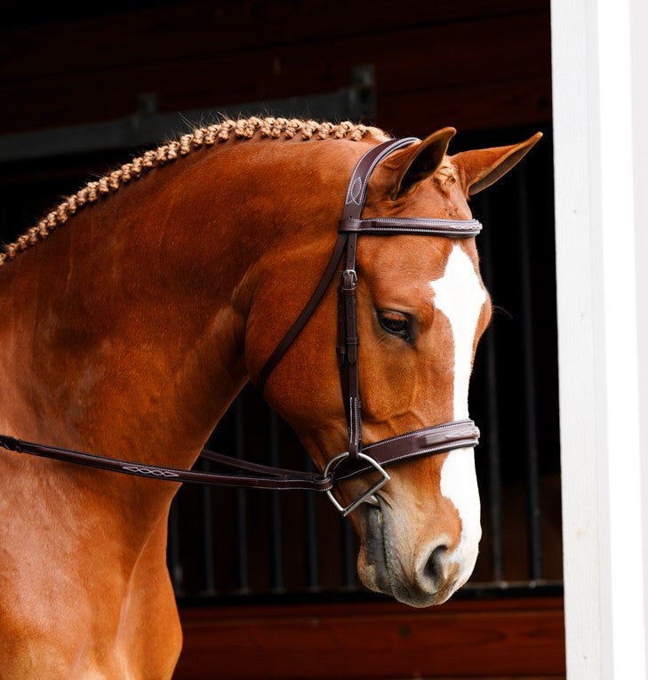 KL Select Black Oak Tupelo Hunter Bridle with Laced Reins - supporting