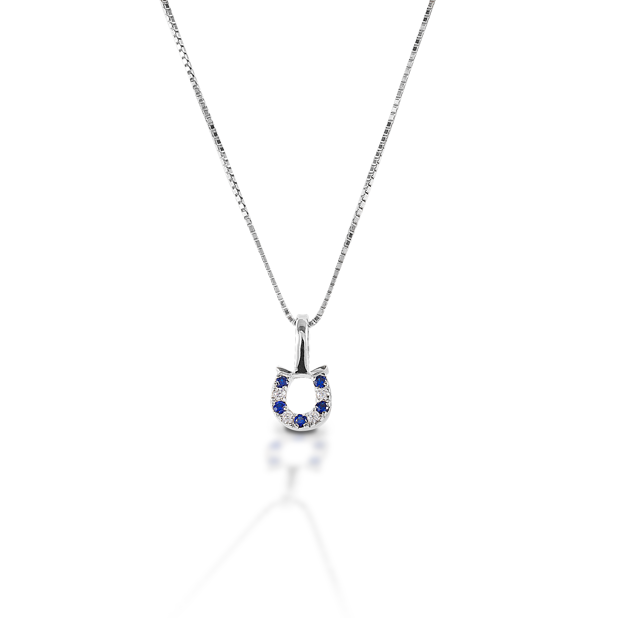 The Kelly Herd Blue & Clear Horseshoe Necklace