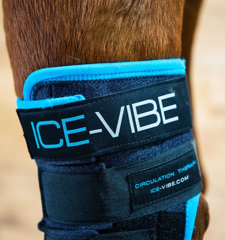 Ice-Vibe Hock Boot - supporting