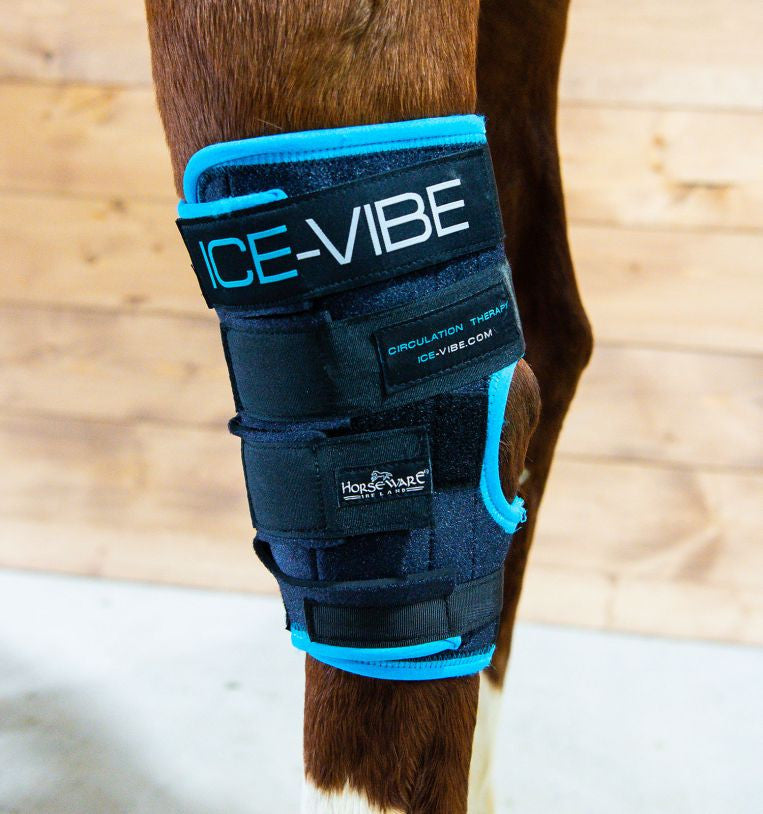 Ice-Vibe Hock Boot - main