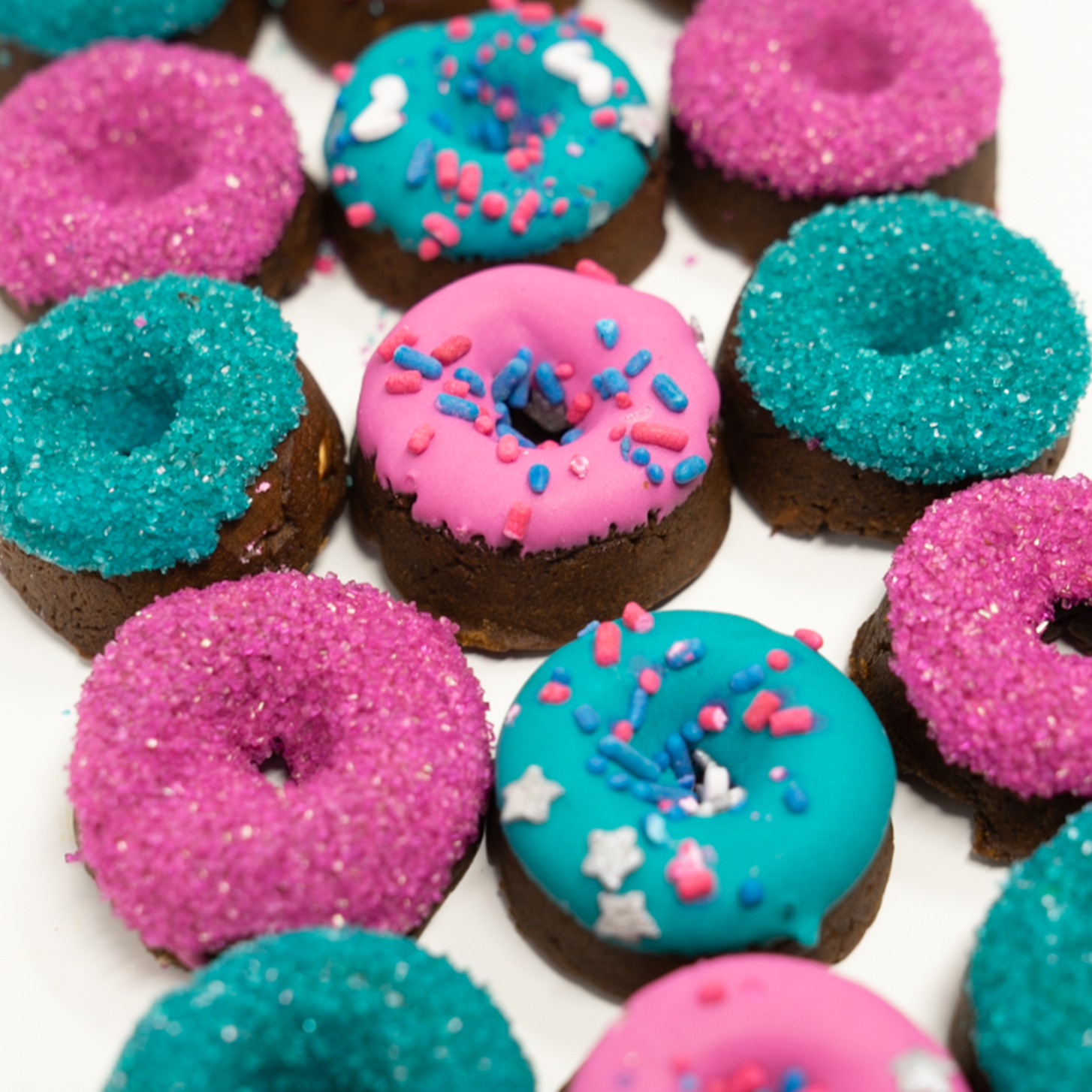 The Posh Pony - Rockstar | Mini Donuts