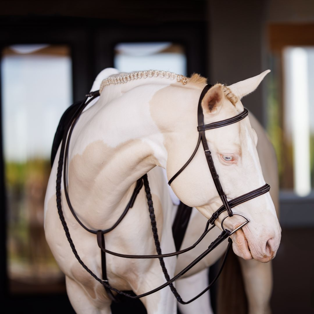Shires Fancy Square Raised Padded Bridle with Laced Reins