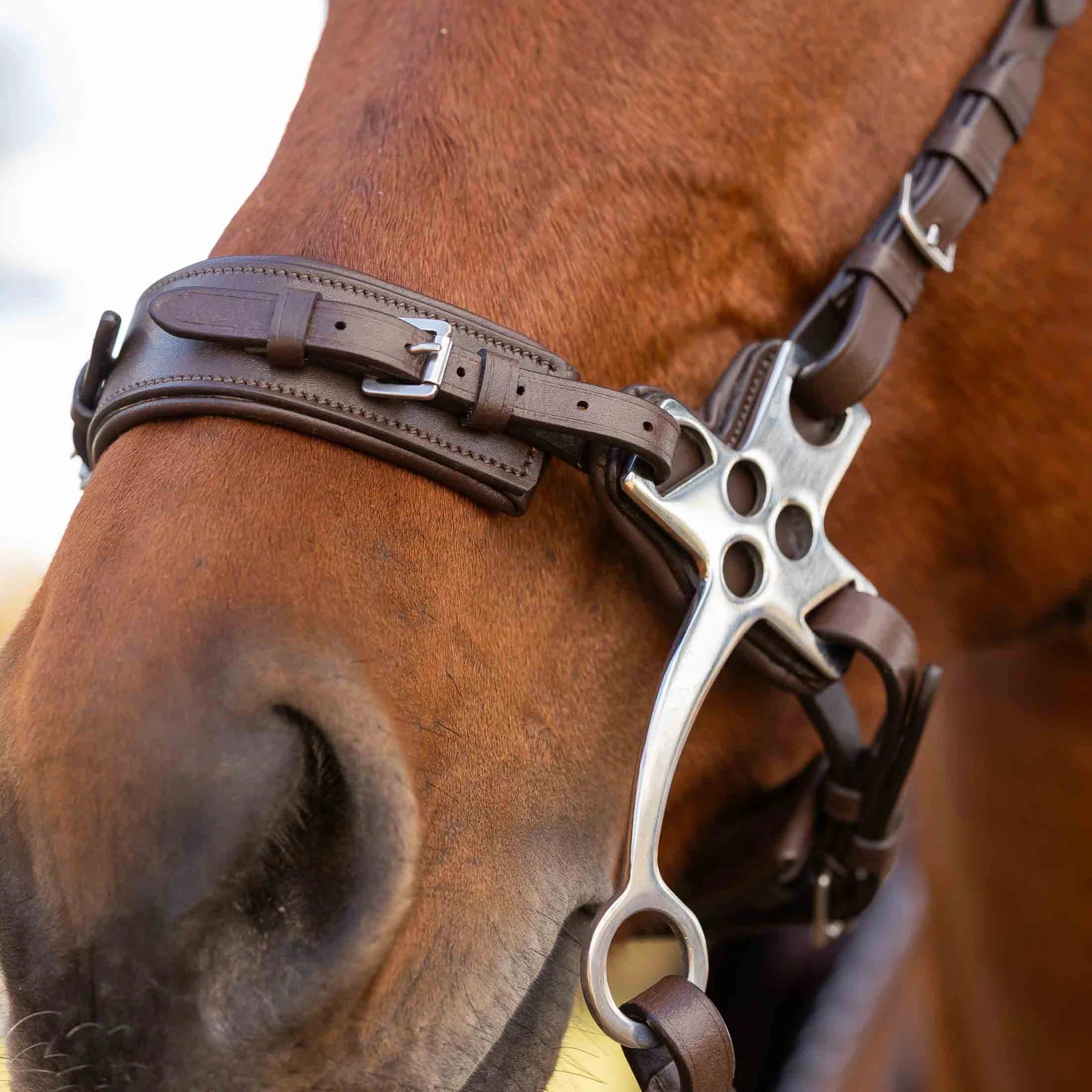 Equinavia Saga Hackamore Noseband