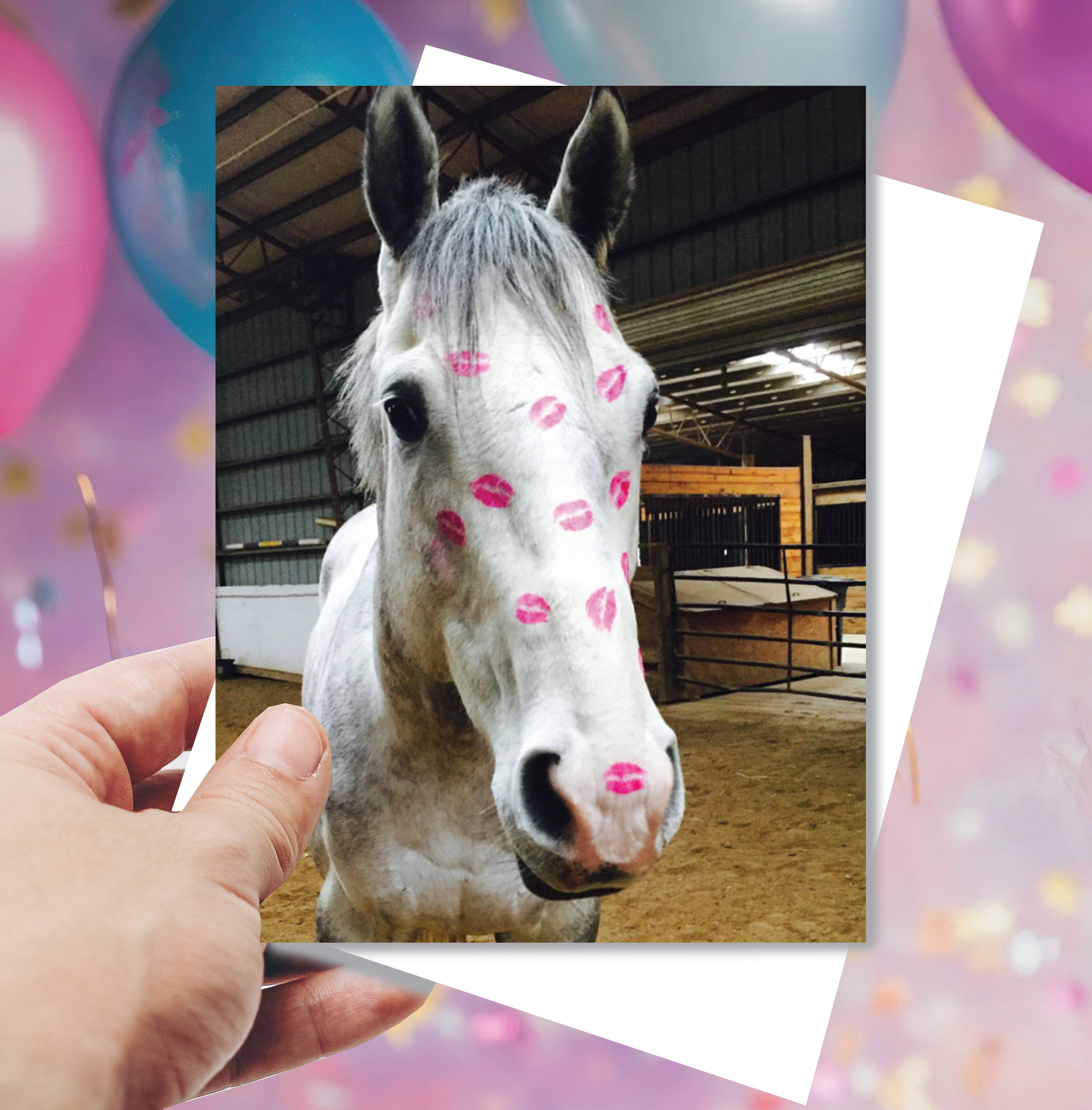 Horse Greeting Birthday Card / Horse Kiss