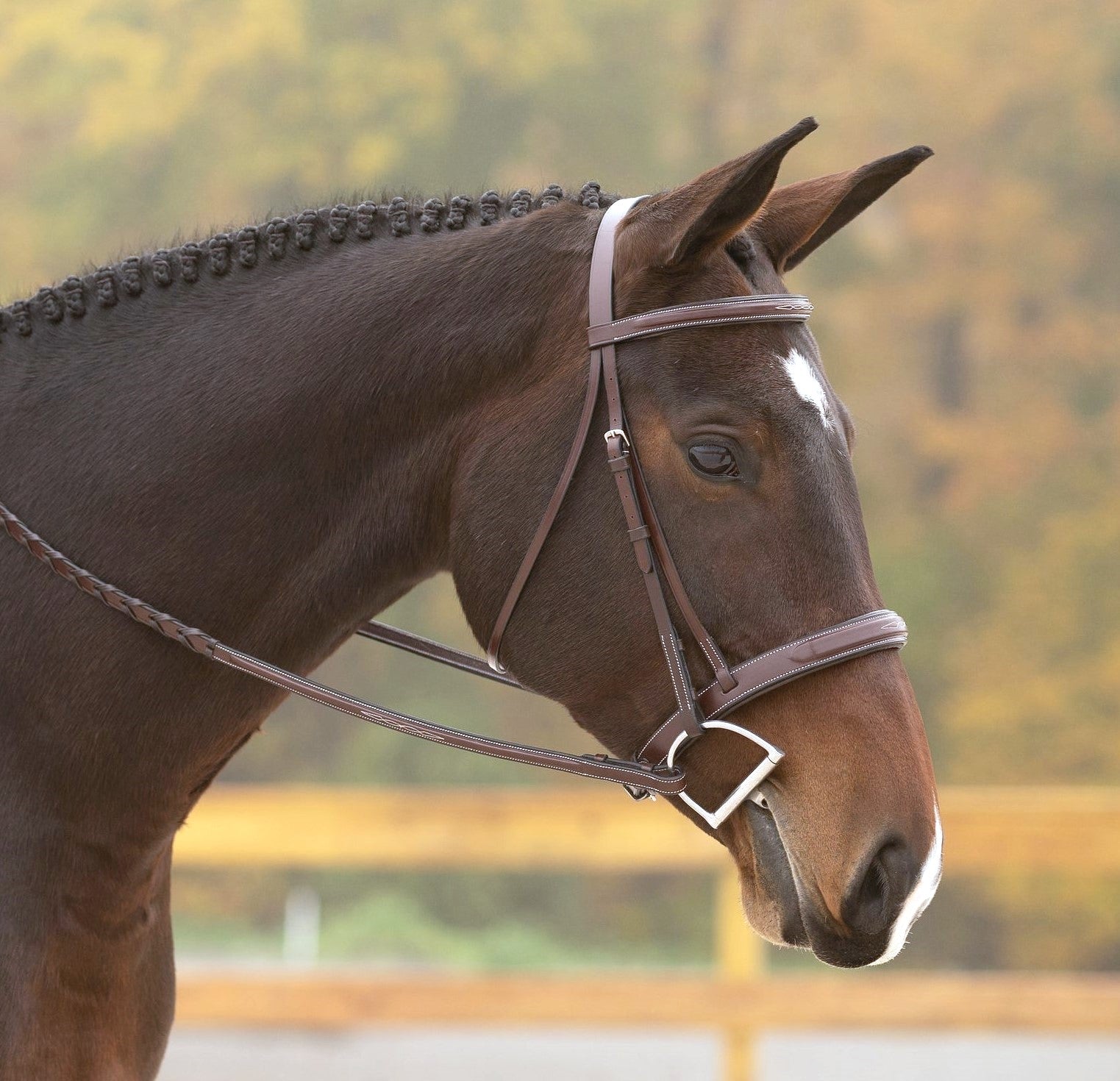 KL Select Red Barn Tryon Bridle