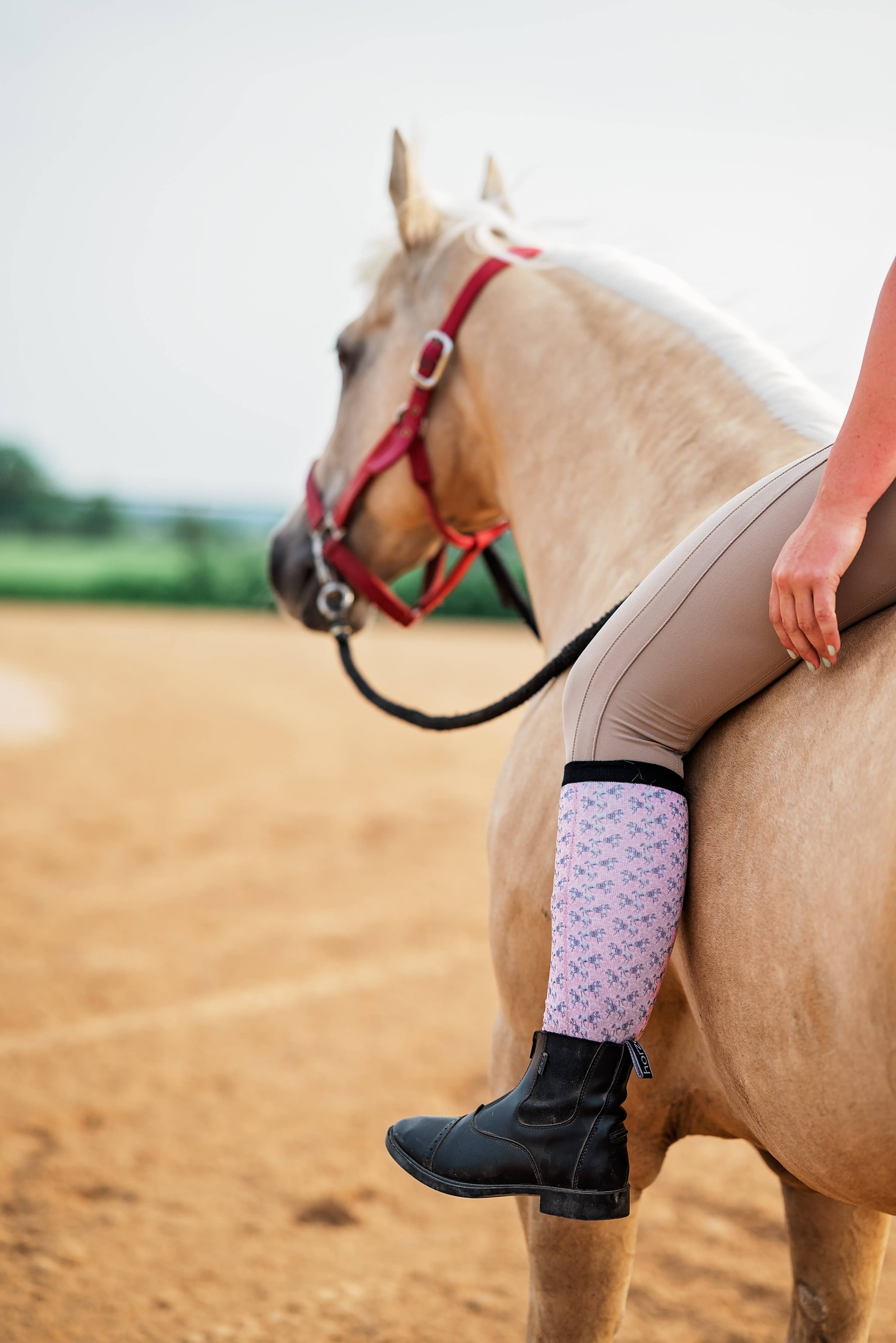 Red Barn Socks - Giddy Up Buttercup