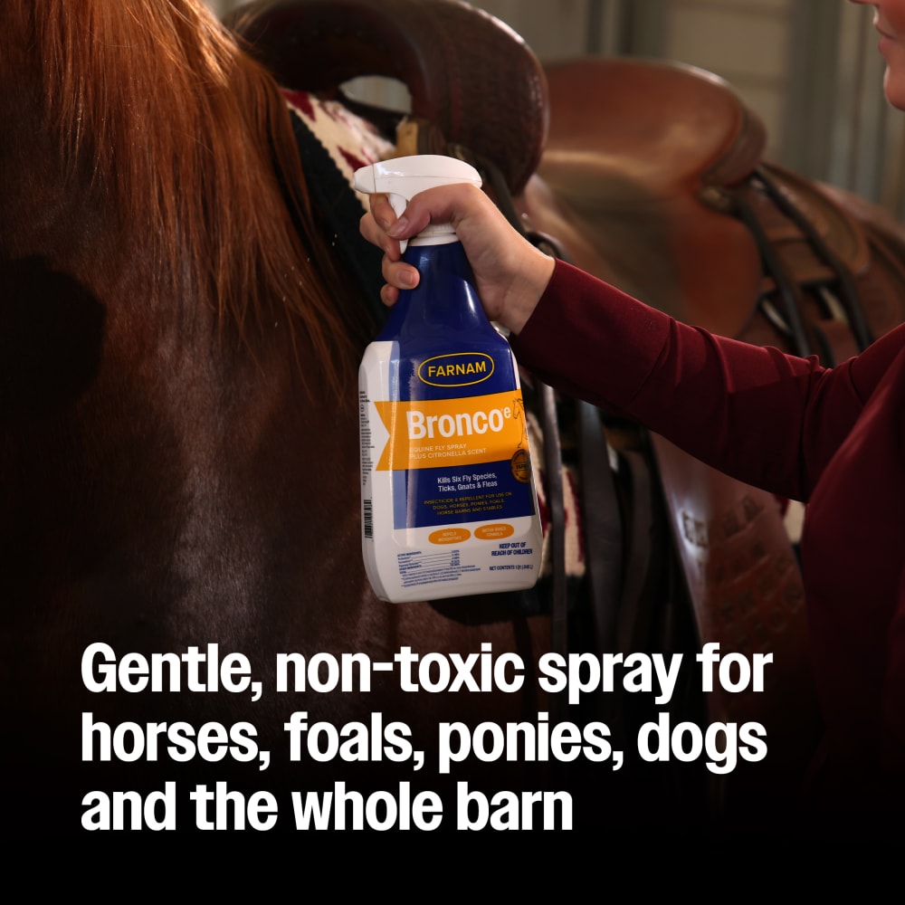 Bronco Equine Fly Spray Plus Citronella Scent