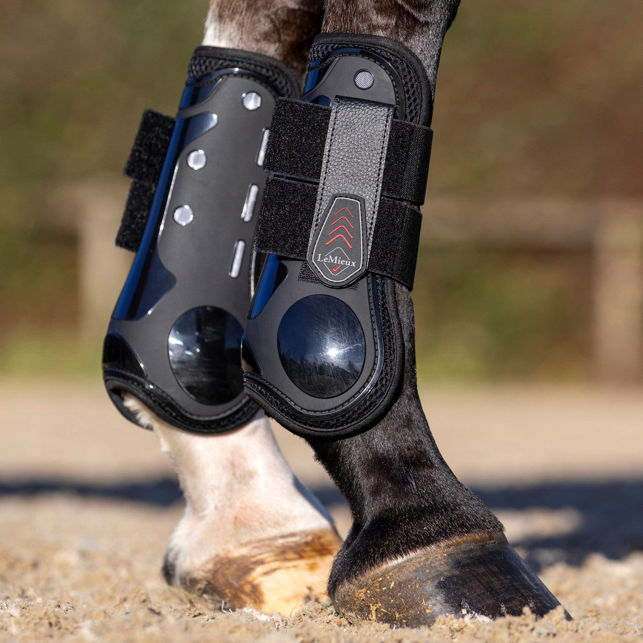 LeMieux Derby ProJump Tendon Boot - main