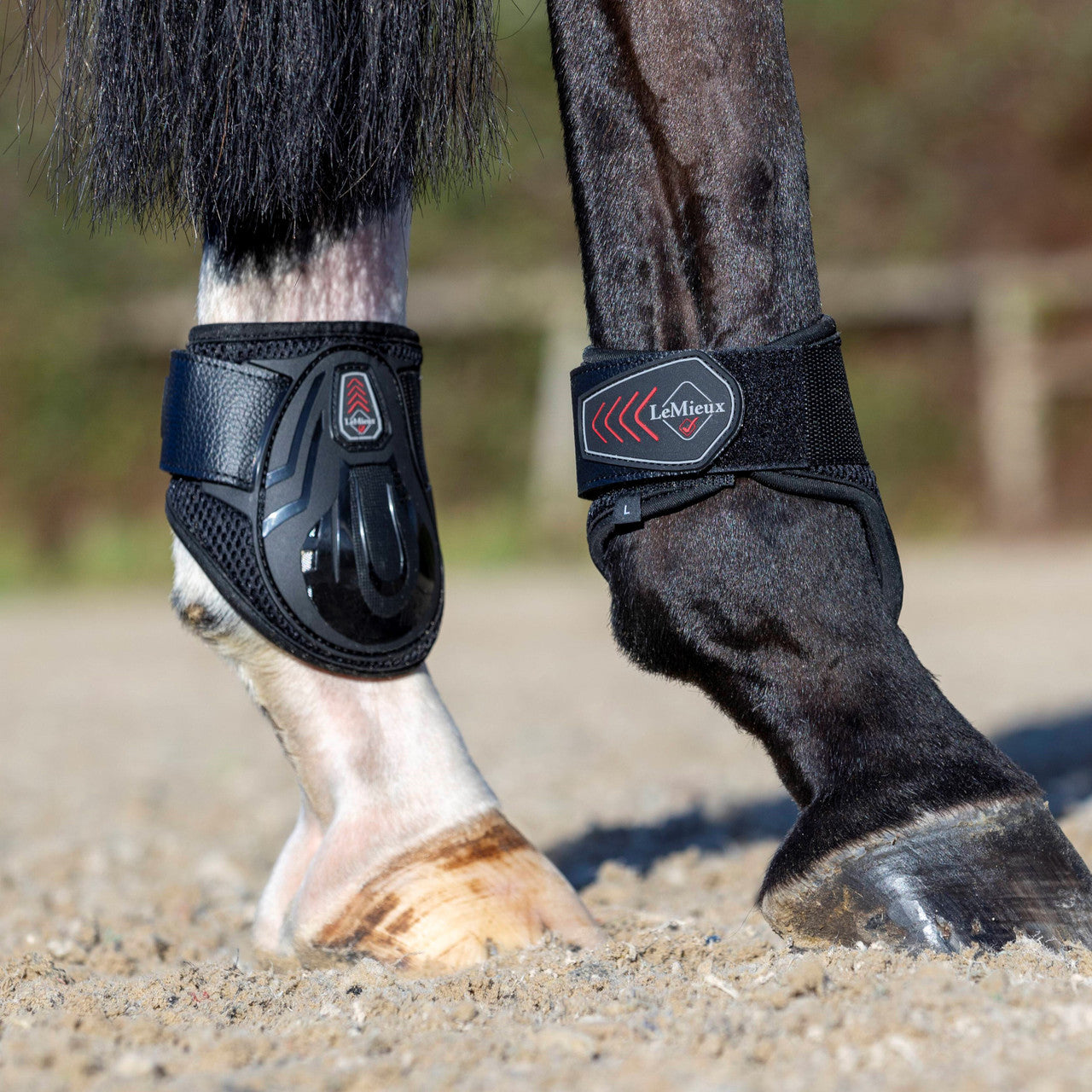 LeMieux Derby ProJump Fetlock Boot - main