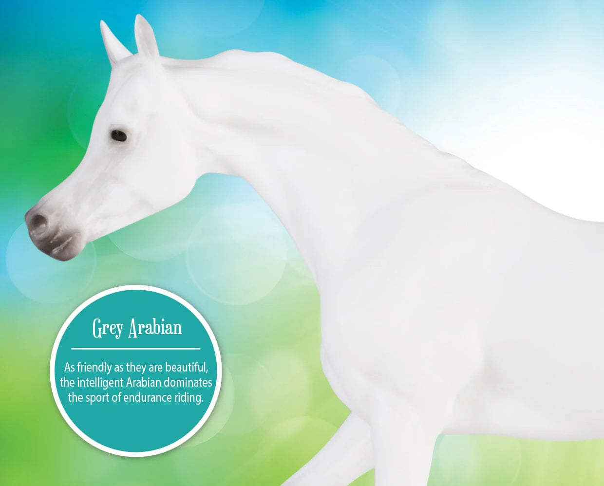 Breyer Grey Arabian