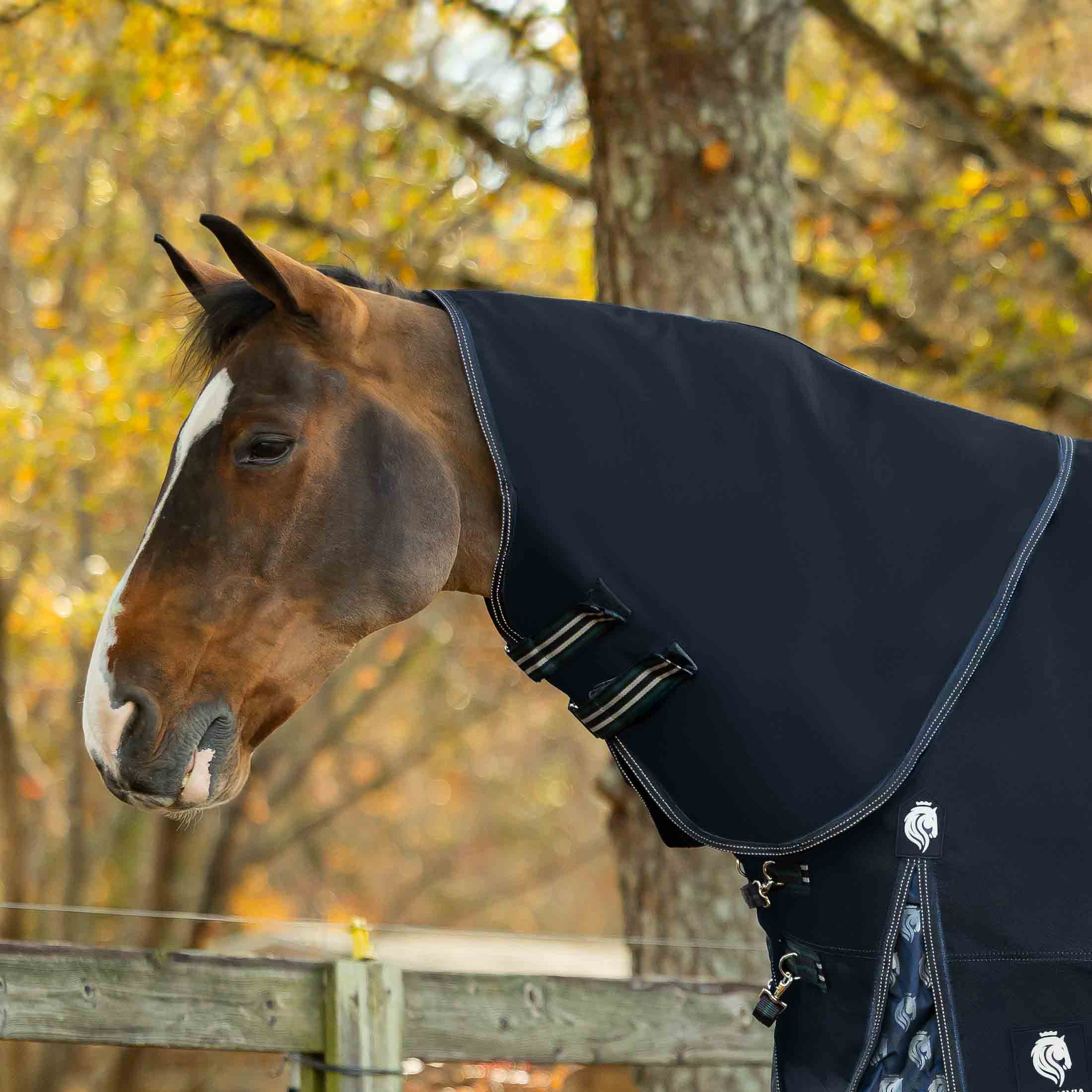 Equinavia Thunder 360 Detachable Neck Heavy Weight Turnout Blanket 300g