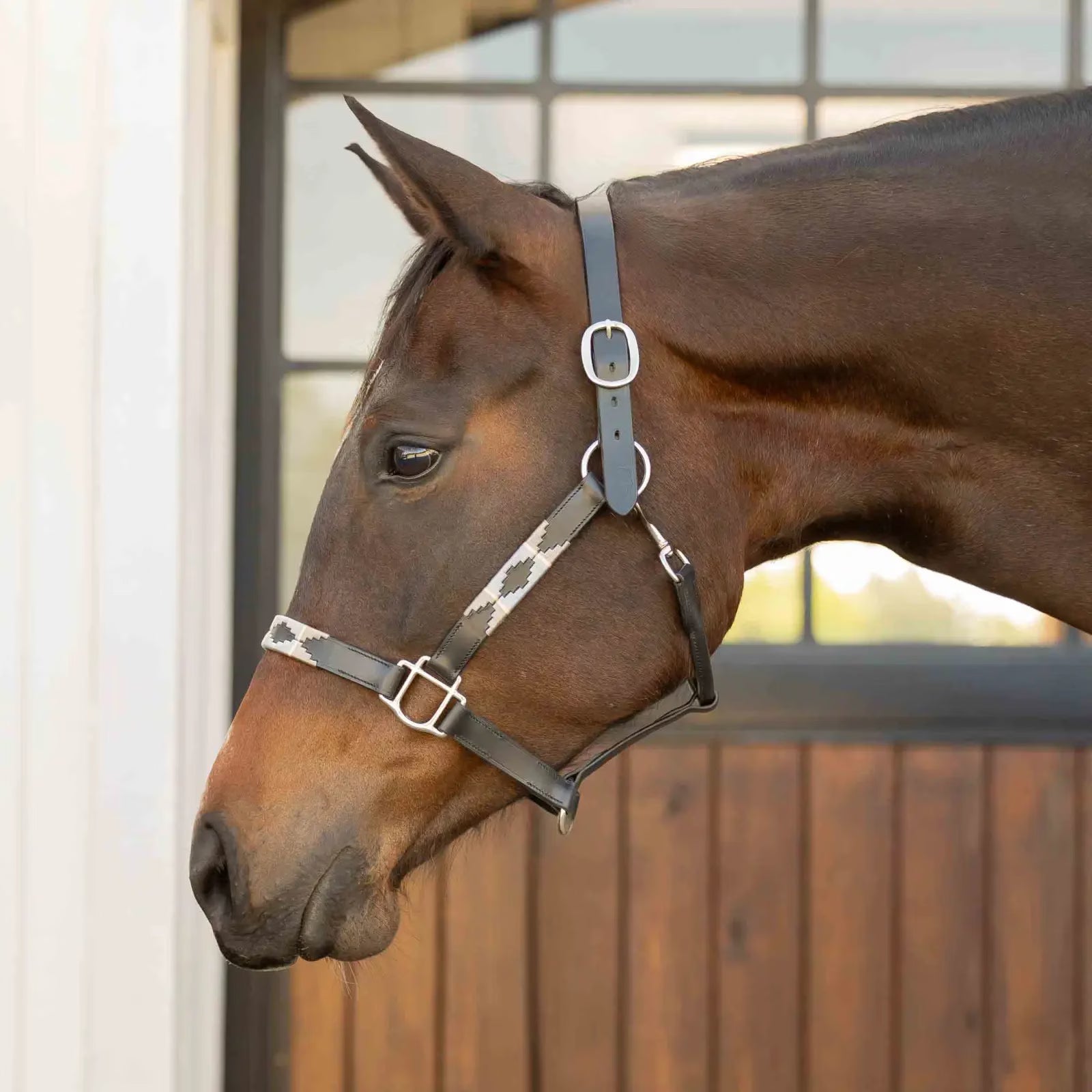 #color_Black/Rain Cloud