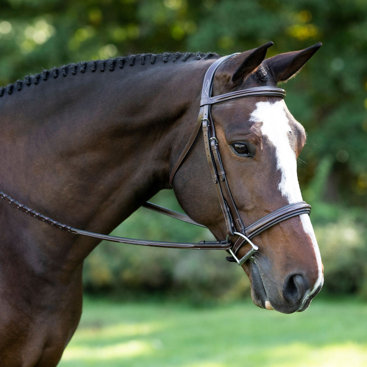 KL Select Black Oak Laurel Bridle - main