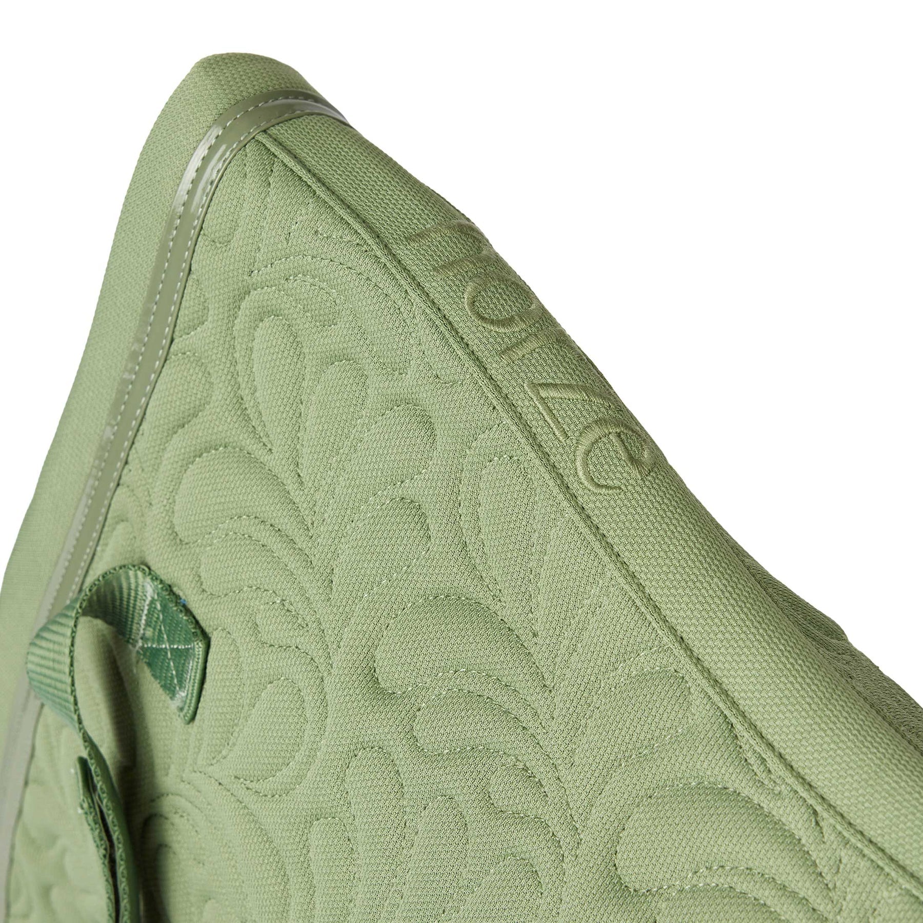 #color_Celadon Green