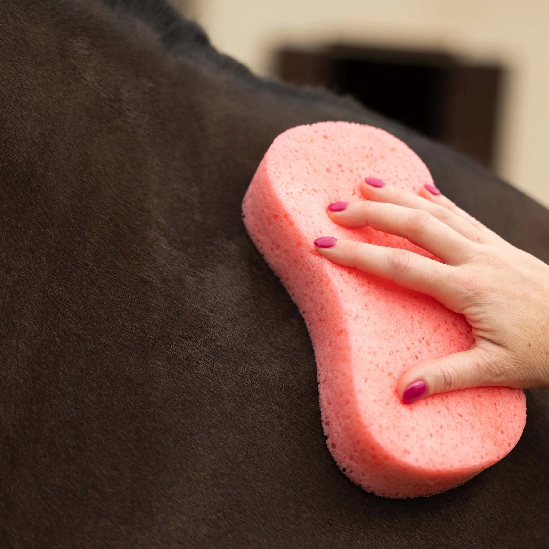 Horze Large Grooming Sponge