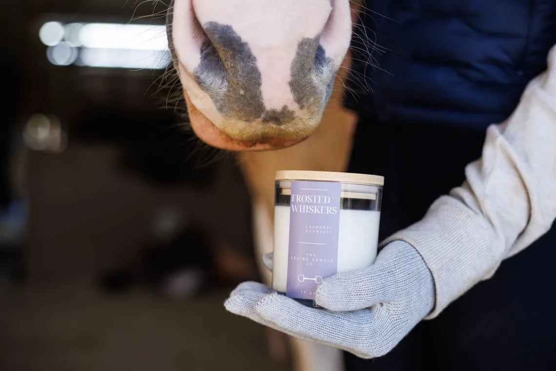 The Equine Candle Co Frosted Whiskers Candle