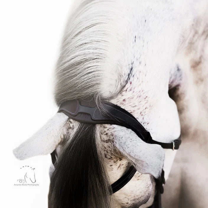 Lumiere Melodie Classic Bridle