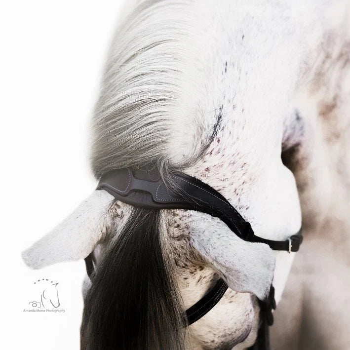 Lumiere Milan Leather Bridle