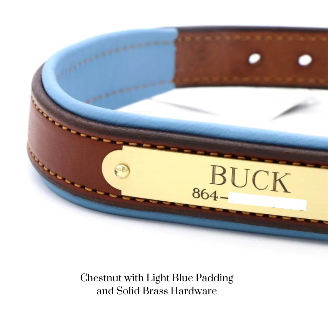 Custom Padded Dog Collar