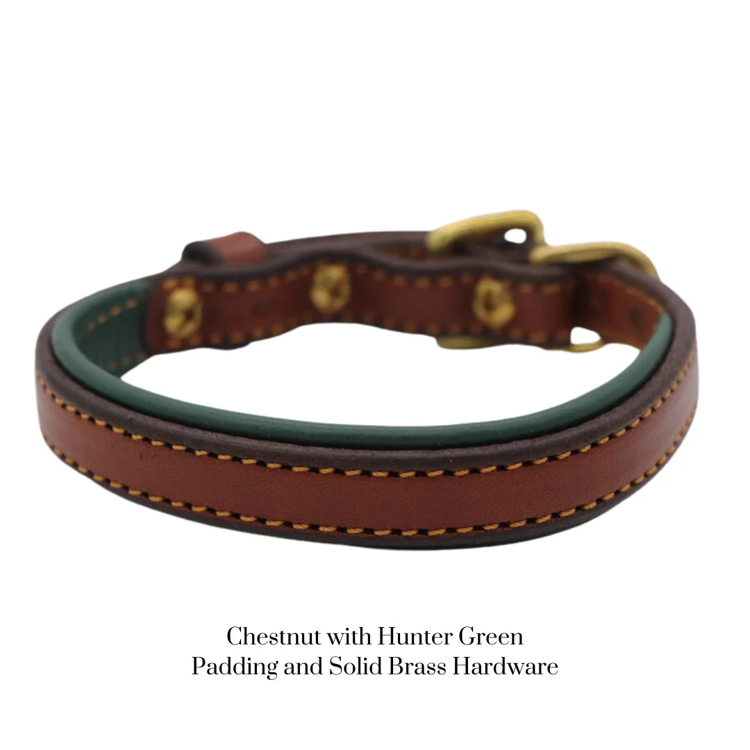 Custom Padded Dog Collar