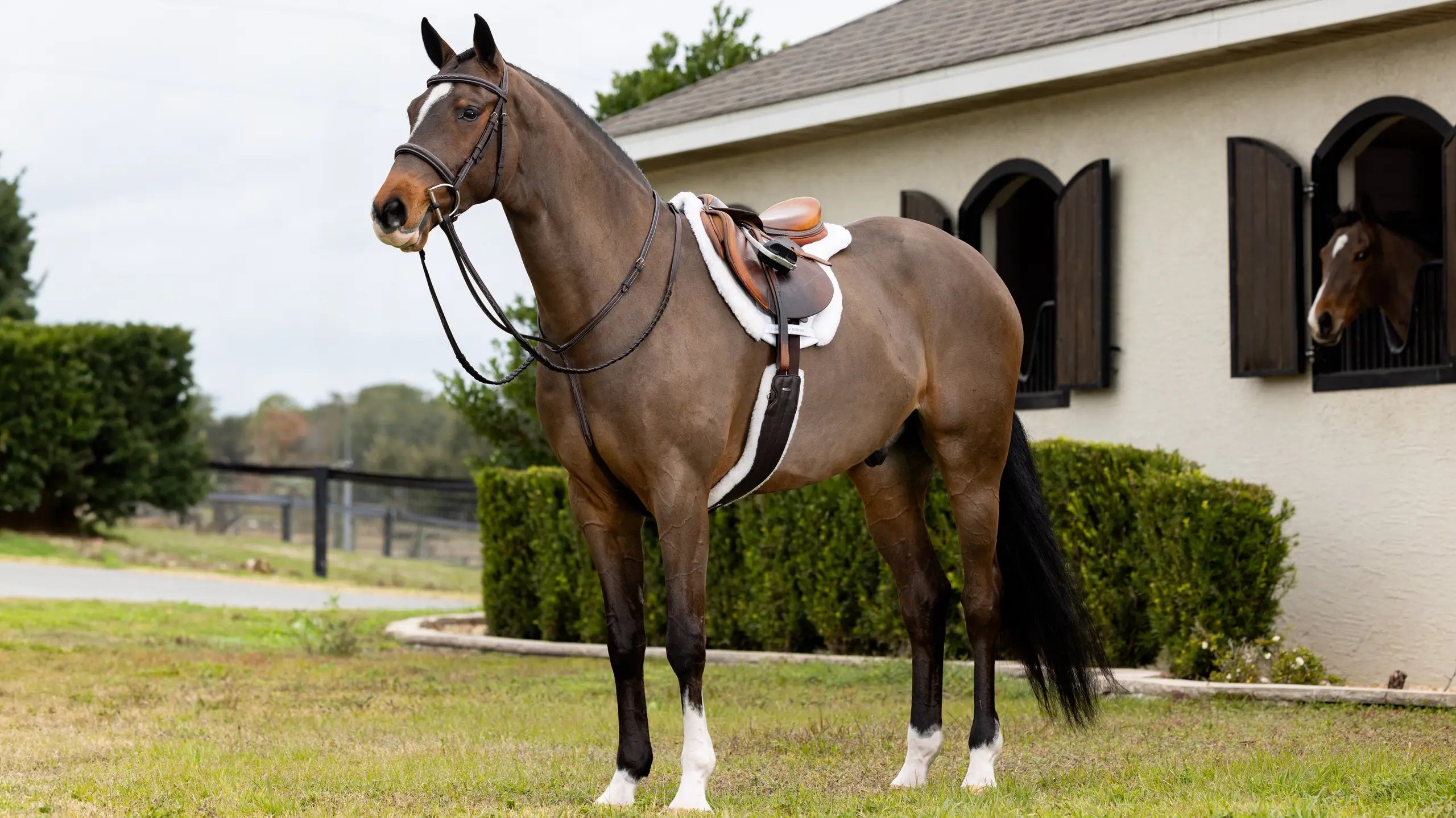 LeMieux Merino+ Hunter Saddle Pad