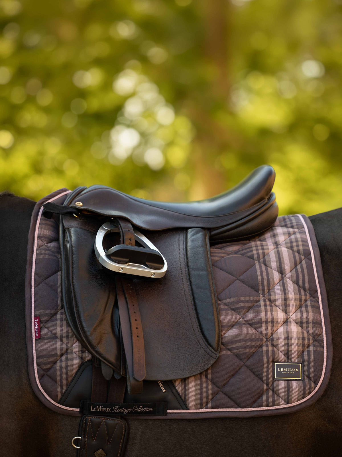 LeMieux Heritage Check Dressage Square