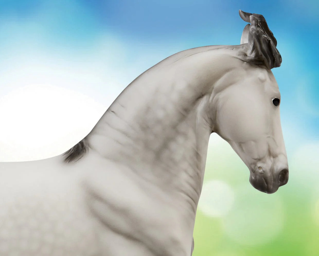 Breyer Jaguel Hilton