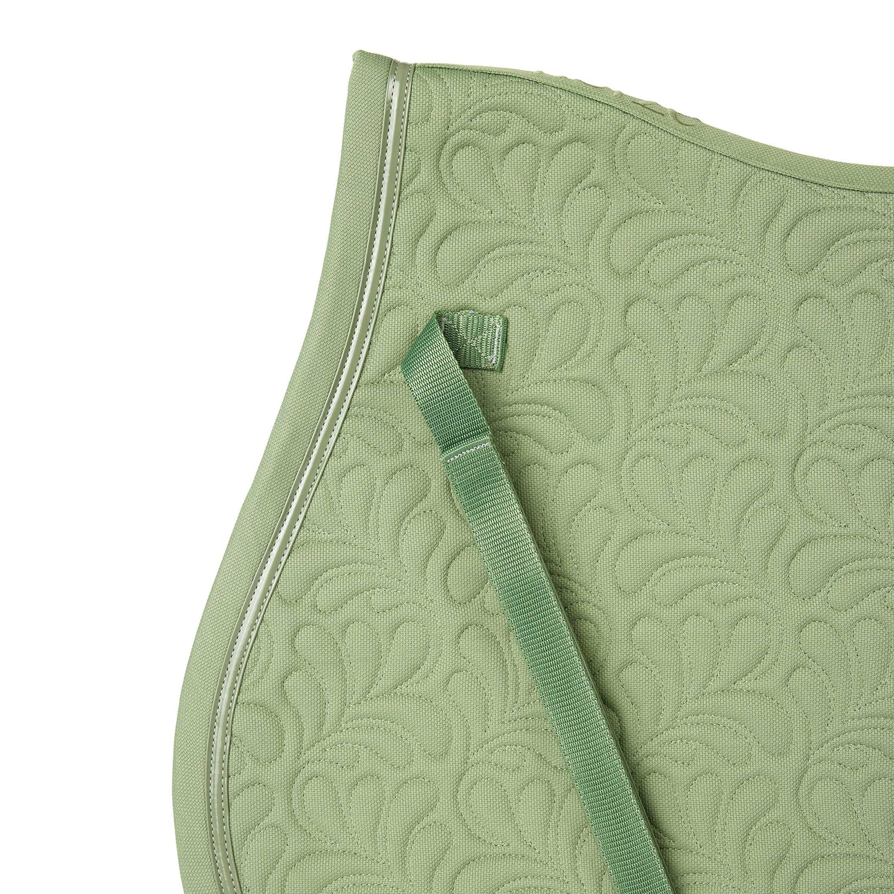 #color_Celadon Green