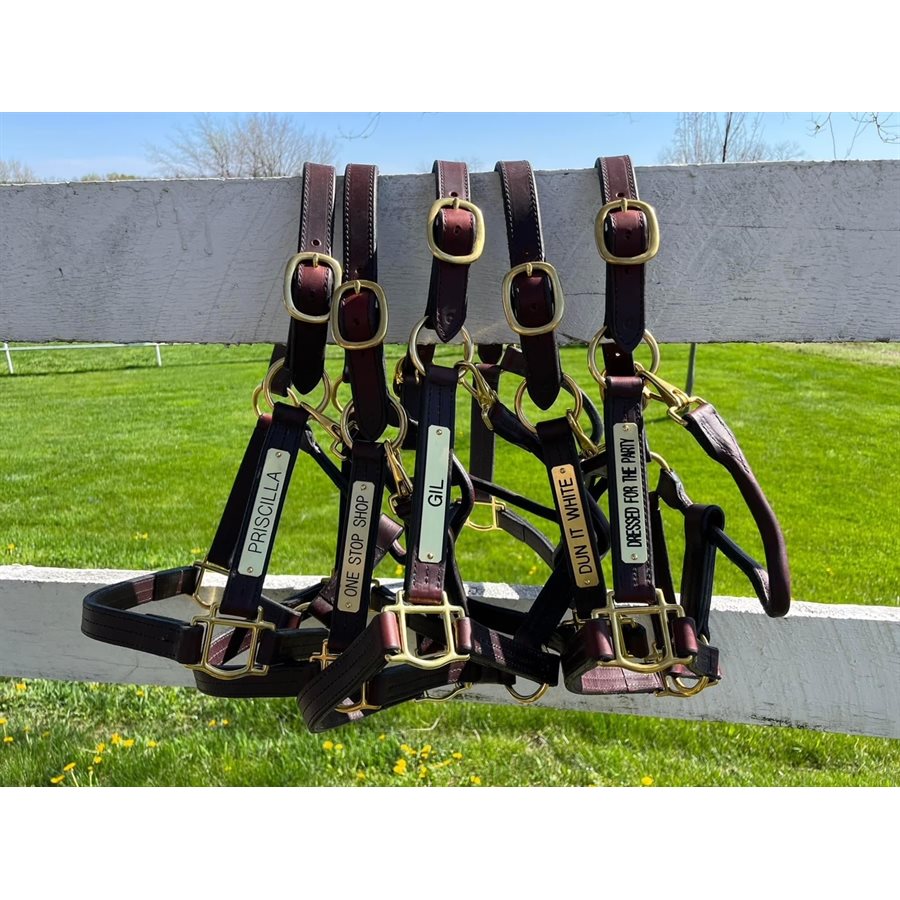 Perri's Heavy Duty Leather Halter with Nameplate