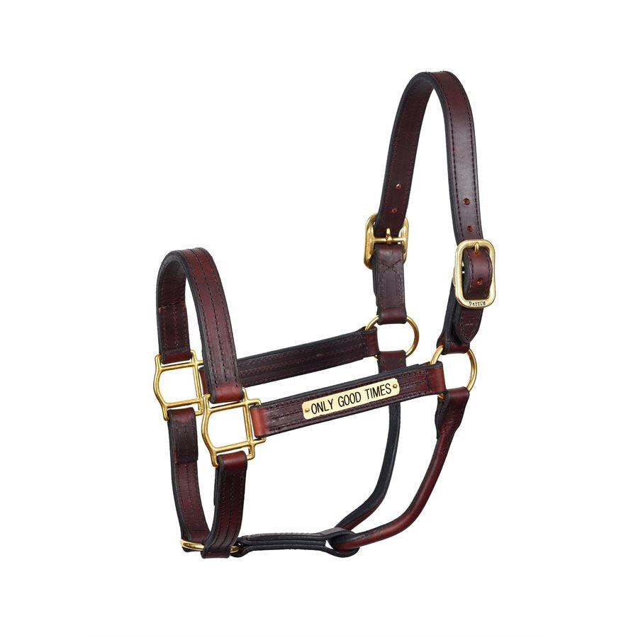 Perri's Heavy Duty Leather Halter with Nameplate