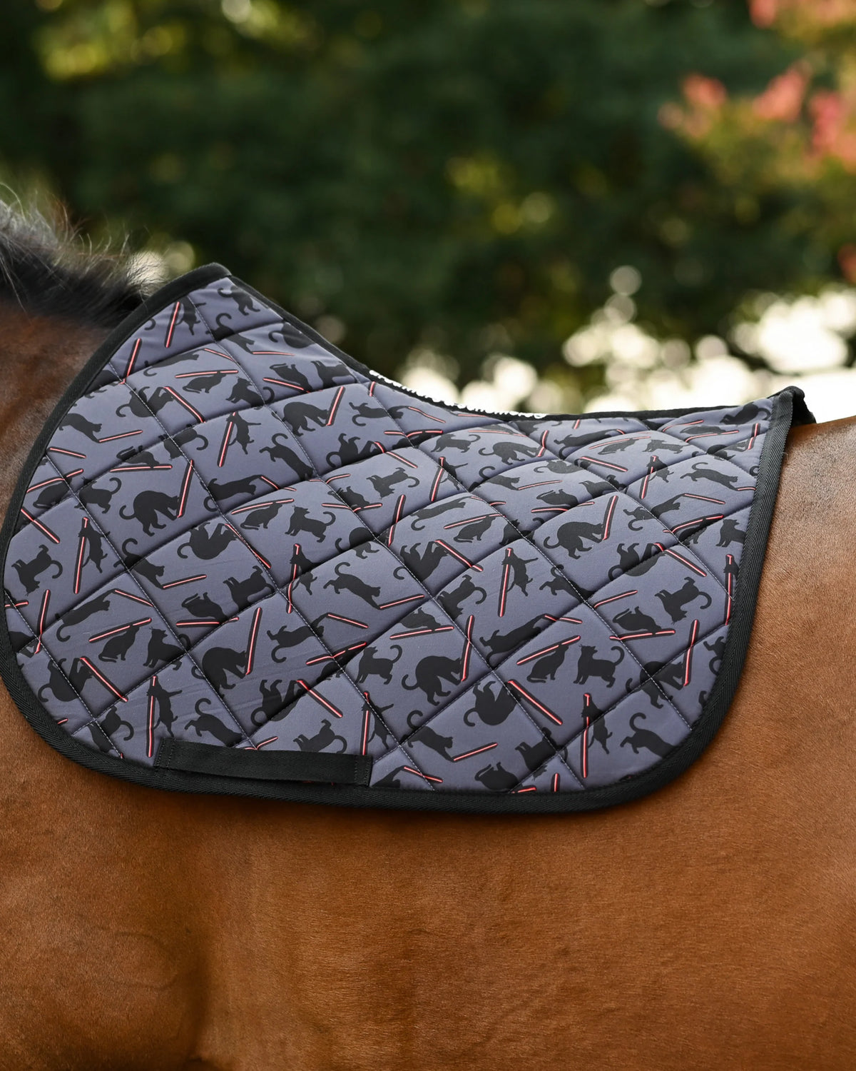 Dreamers & Schemers All Purpose Saddle Pad - Laser Cats