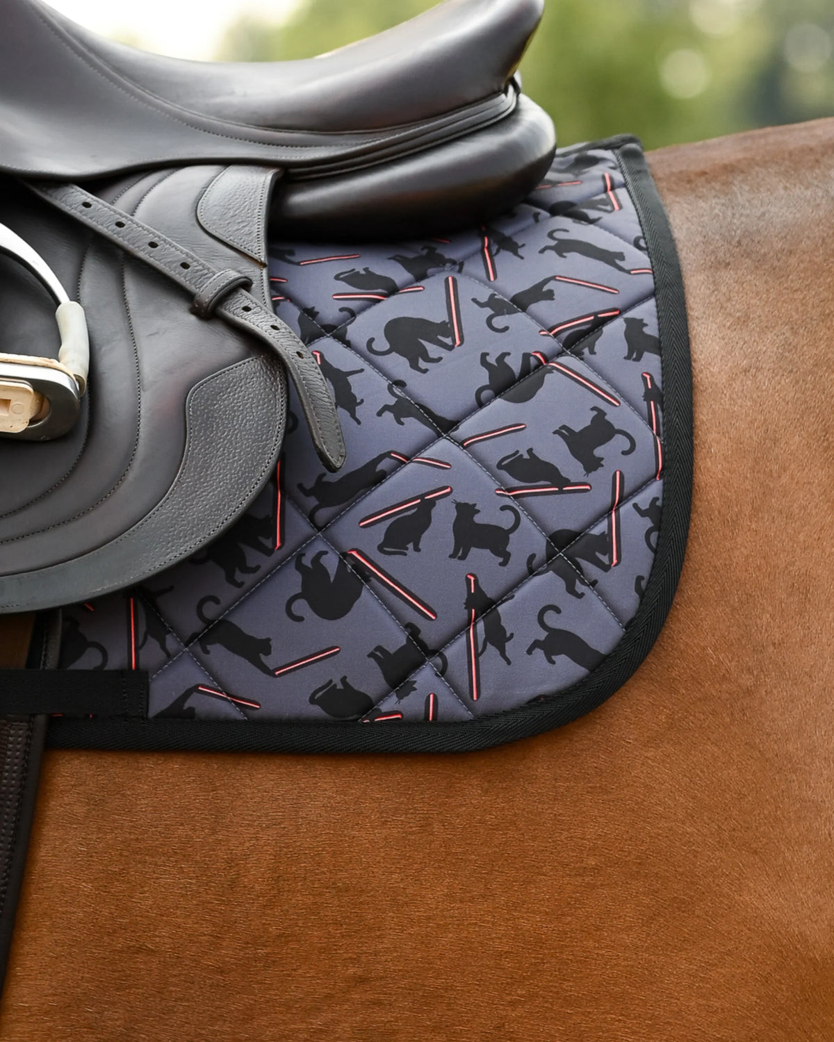 Dreamers & Schemers All Purpose Saddle Pad - Laser Cats