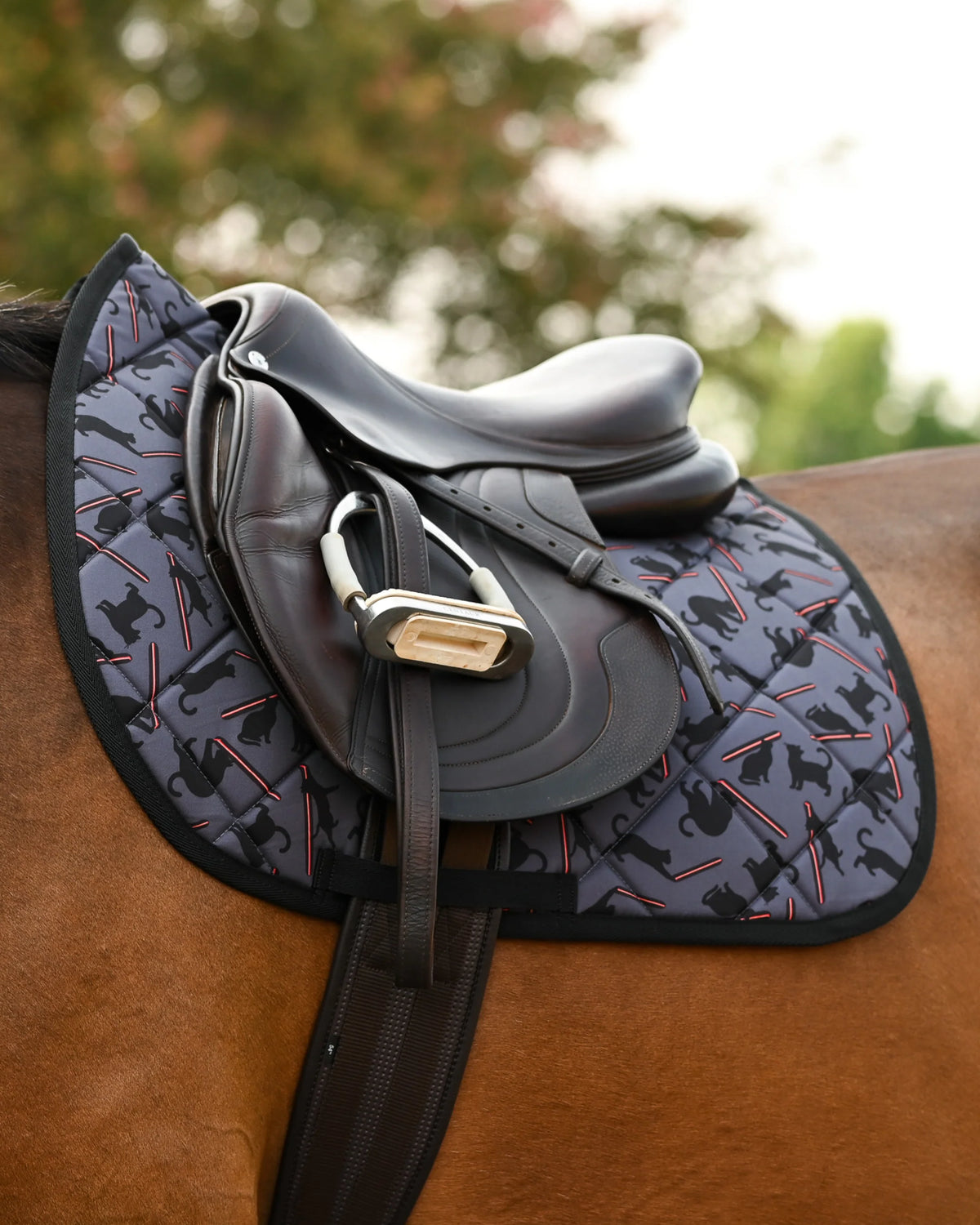 Dreamers & Schemers All Purpose Saddle Pad - Laser Cats