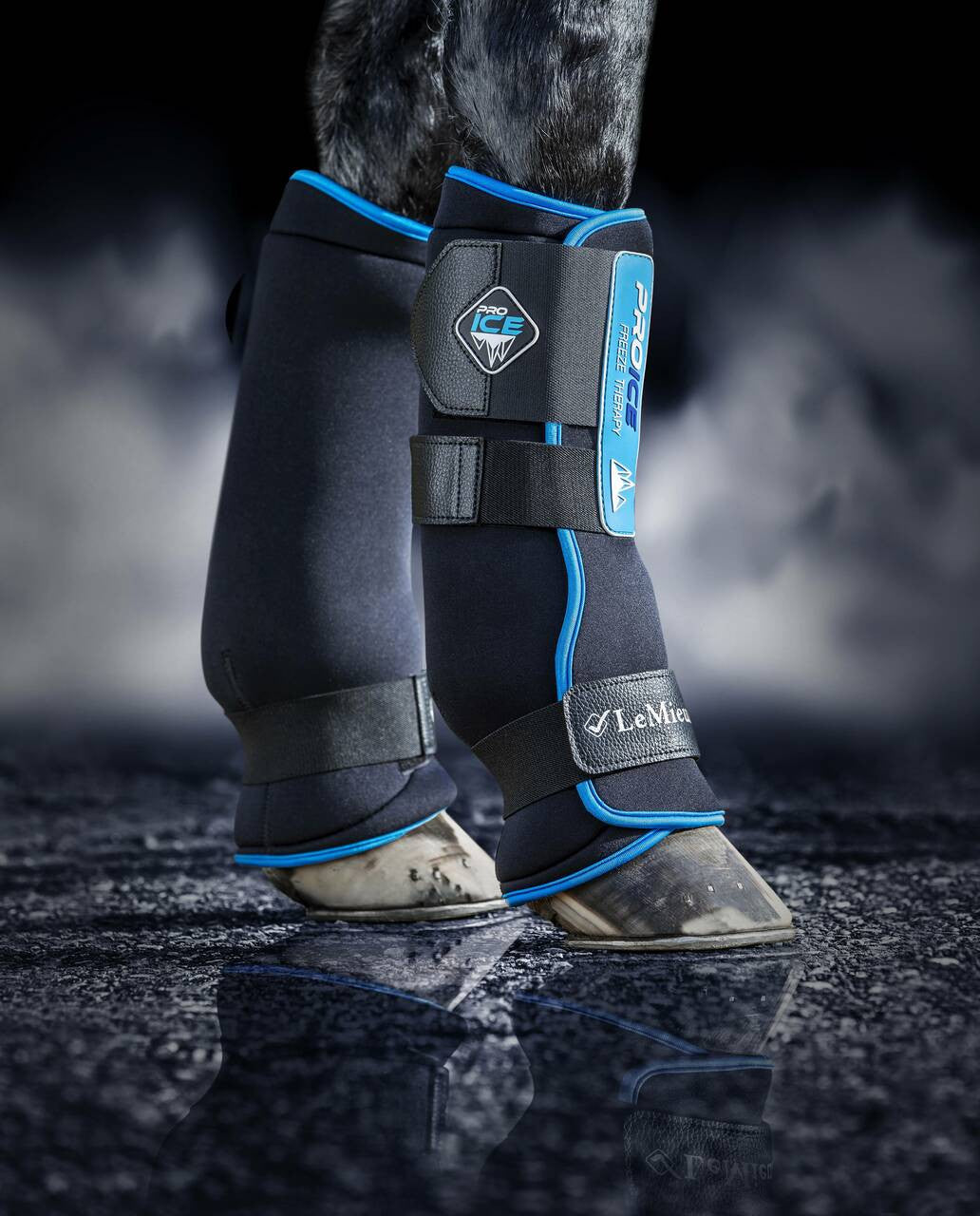 LeMieux ProIce Freeze Boots - supporting