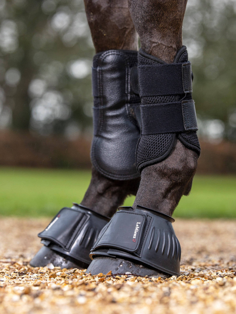 LeMieux Rubber Bell Boots - supporting