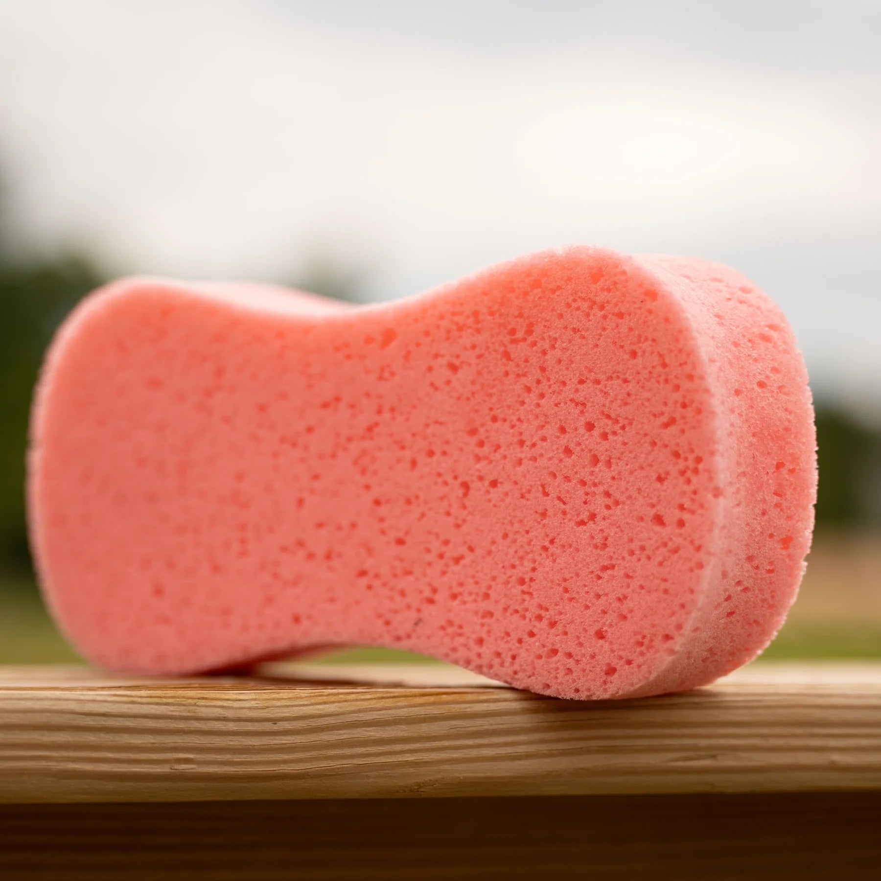 Horze Large Grooming Sponge