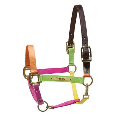 Perri's Premium Nylon Safety Halter with Nameplate