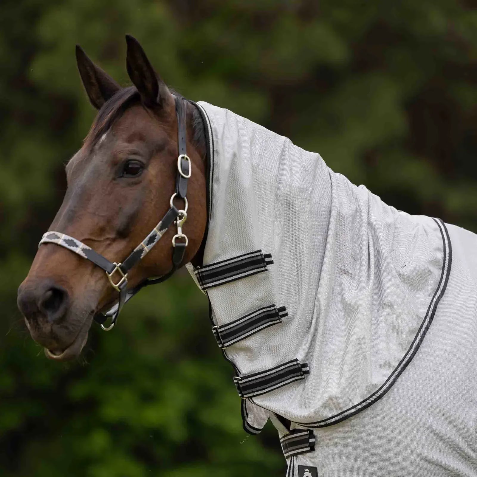 Equinavia Vern Full Protect Fly Sheet