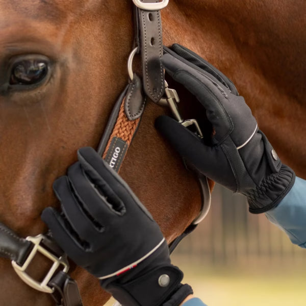 B Vertigo Rahel Thinsulate Winter Riding Gloves