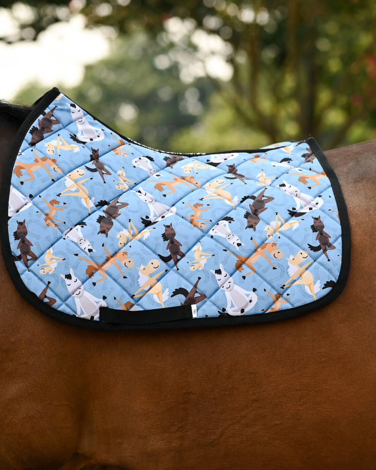 Dreamers & Schemers All Purpose Saddle Pad - Pony Pilates