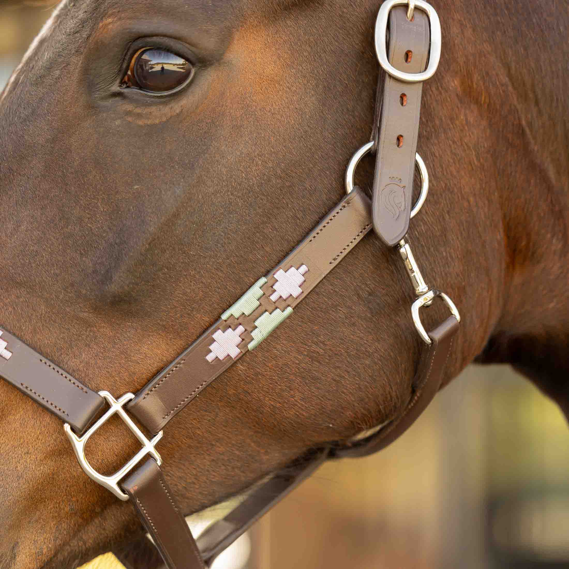 #color_Brown/Lavender/Misty Jade