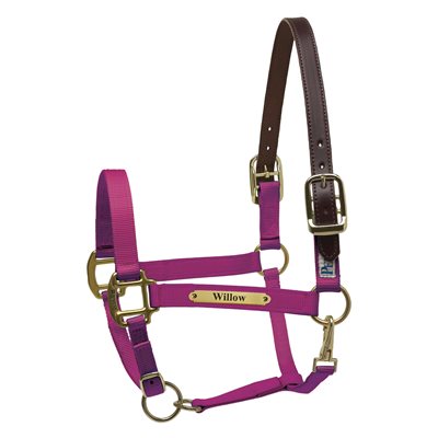 Perri's Premium Nylon Safety Halter with Nameplate