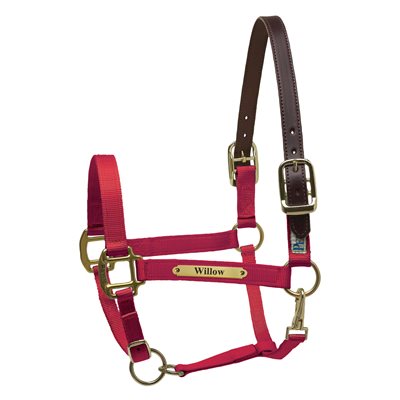 Perri's Premium Nylon Safety Halter with Nameplate