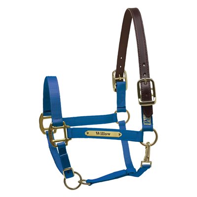 Perri's Premium Nylon Safety Halter with Nameplate