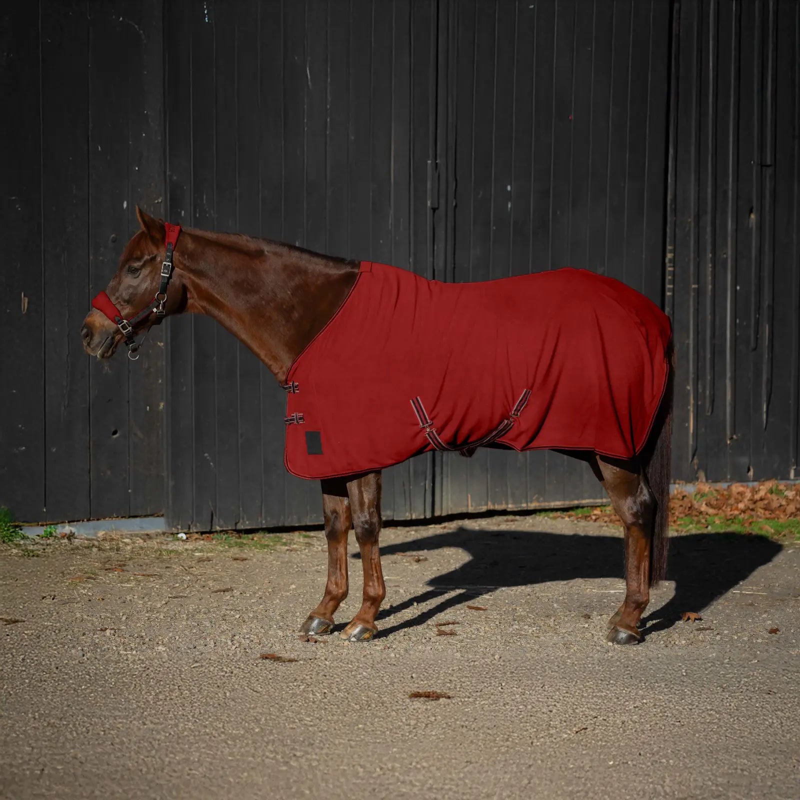 Sale Equinavia Norse Fleece Cooler