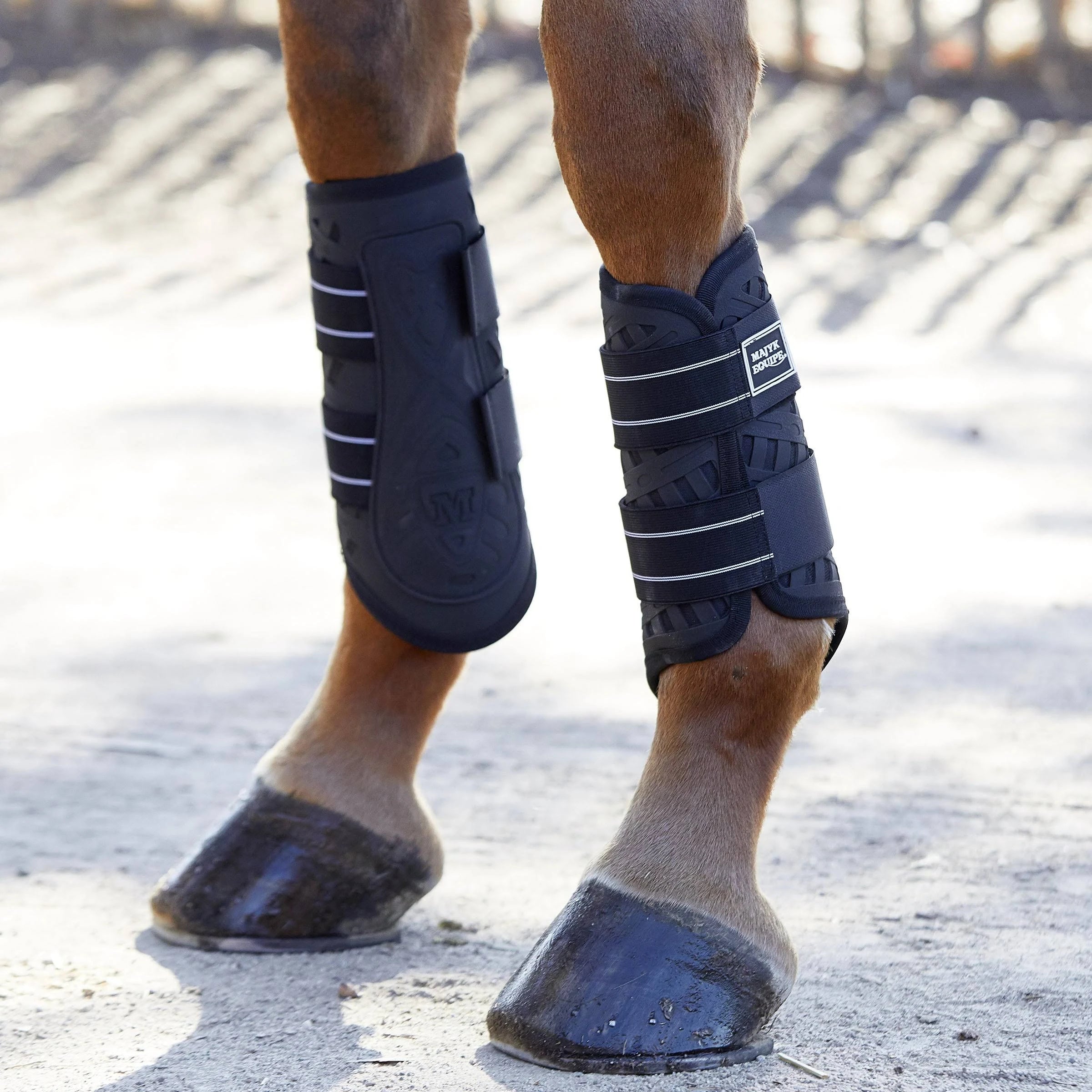 Majyk Equipe Sport/Dressage Boot