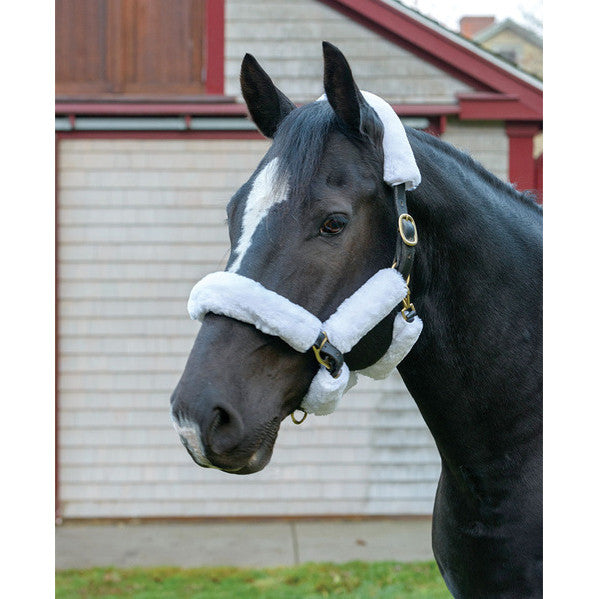 SupaFleece Halter Fleece - 9 Piece - sku to order - 55080