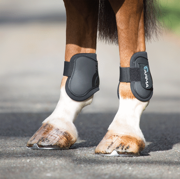 Shires ARMA Rear Fetlock Boots - Black - main