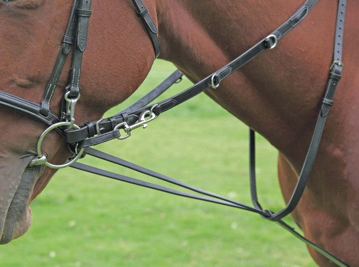 Shires German Martingale - supporting