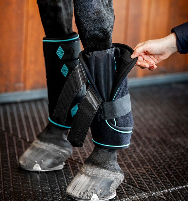 How To Properly Wrap A Horse's Leg at Alfredo Frank blog How To Properly Wrap A Horse's Leg at Alfredo Frank blog